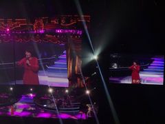 -成都金融城演艺中心
