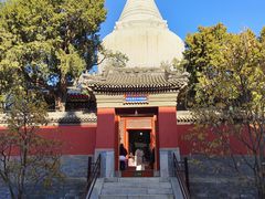 -妙应寺白塔