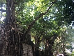 -香港佐治五世纪念公园