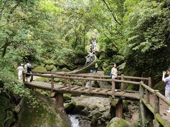 -青城山
