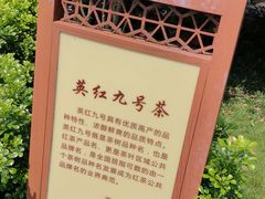-英德宝晶宫天鹅湖茶语温泉