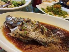 -热带风暴水上乐园(新镇路)