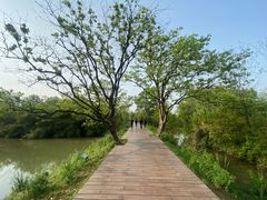 -西溪国家湿地公园