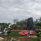 花开中国梦[加油][礼花][礼花][礼花]