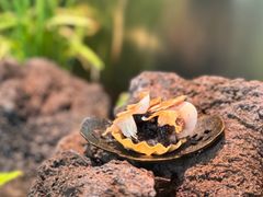 -曲廊院(东四十一条店)