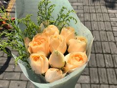 -双季花艺园艺市场(浦东店)