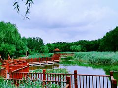 -塘沽森林公园