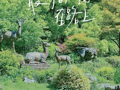 -杭州植物园