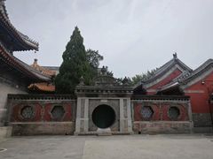 -北京艺术博物馆(万寿寺)
