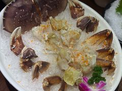 -东海怡品海鲜豆捞(舟宿夜江店)