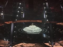 -宝能国际体育演艺中心