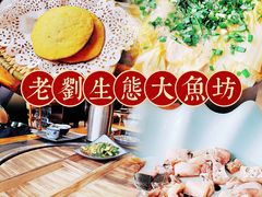 -老刘生态大鱼坊铁锅炖鱼(赛马场店)