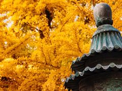 -红螺寺