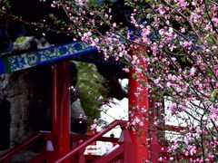-滕王阁旅游区