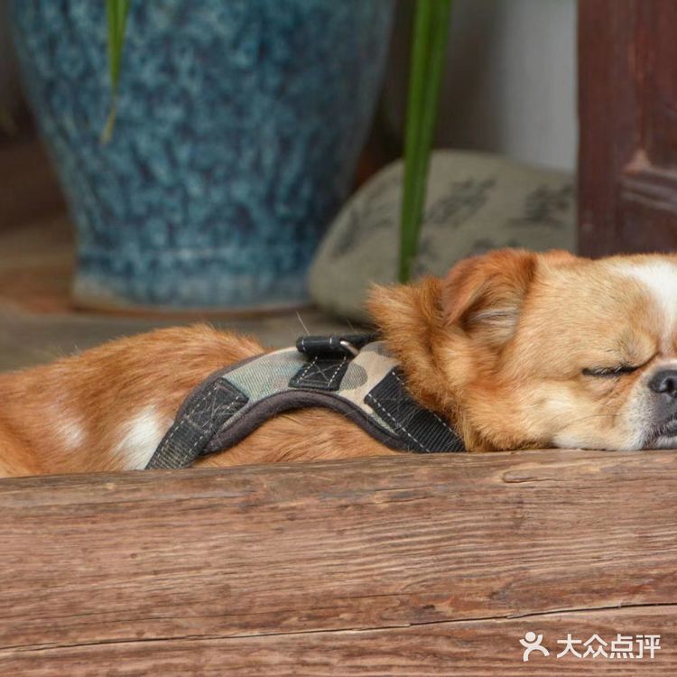 白沙古镇‖丽江保存原始风貌最好的古镇