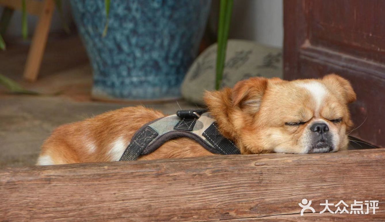 白沙古镇‖丽江保存原始风貌最好的古镇