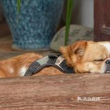 白沙古镇‖丽江保存原始风貌最好的古镇