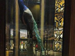 -孔雀裡融合餐厅