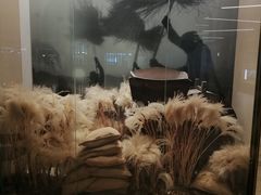 -佬肥猫(国华广场店)
