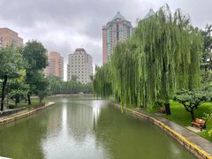 -团结湖公园
