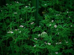 -苏州河梦清园环保主题公园