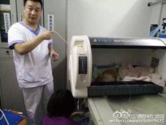 盛京一禾-盛京一禾