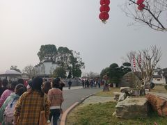 -武汉紫薇都市田园