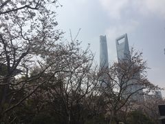 -高东镇樱花园