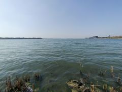 -漕湖湿地公园