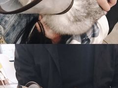 -猫爷宠物生活馆·撸猫馆