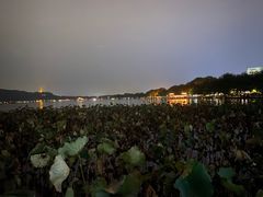 -西湖游船