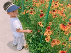 -歌斐颂巧克力小镇