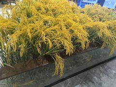 -天天鱼港·海鲜·鲅鱼水饺·招牌烤鸭(黄骅店)
