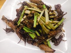 -强记湛江鸡饭店·二十七年老字号(拱北店)