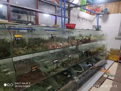 -岛中岛·海鲜大排档·万宁老字号(东澳店)