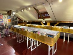 -树懒黑胶唱片店(中山路店)