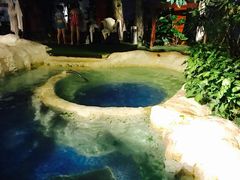 -中铁花水湾四季温泉谷