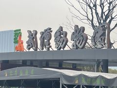 -武汉动物园