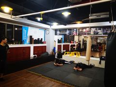 -温鉴良实用咏春拳