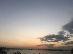 -宝安西湾红树林湿地公园