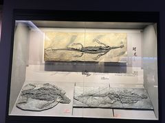 -贵州省地质博物馆