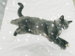 店内环境-Pink You美甲美睫纹绣定制中心