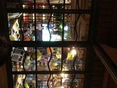 -胡桃里乐队酒馆(大庆店)