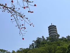 -深圳国际园林花卉博览园