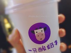 -一只酸奶牛(八一路店)