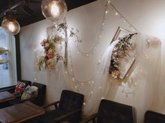 -共舞时光猫咖·狗咖(新街口店)