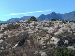 -白水寺森林公园