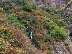 -小五台金河景区