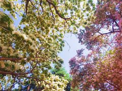 -国家植物园南园