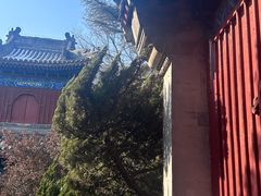 -大钟寺古钟博物馆